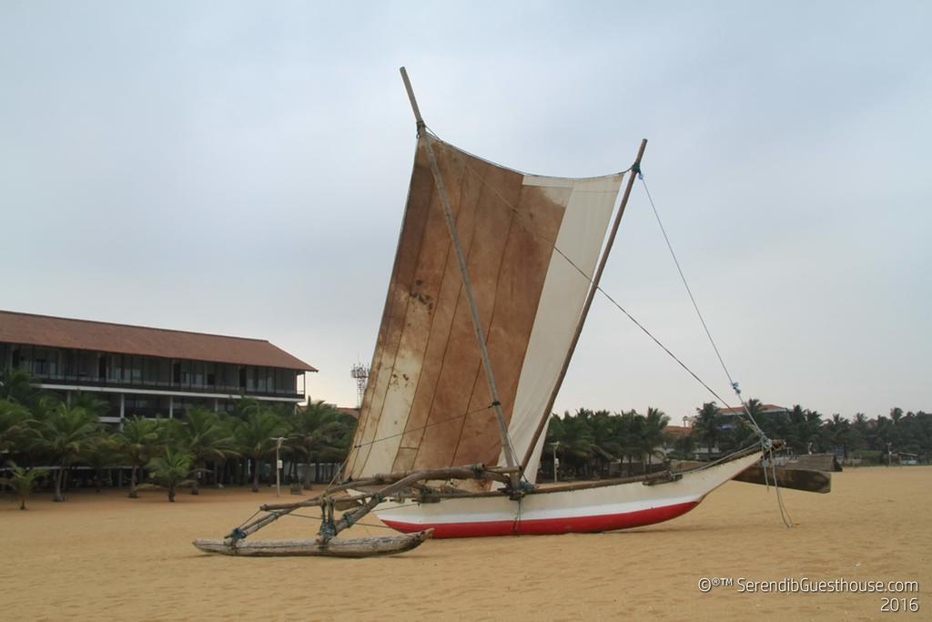 Serendib Guest House เนกอมโบ ภายนอก รูปภาพ