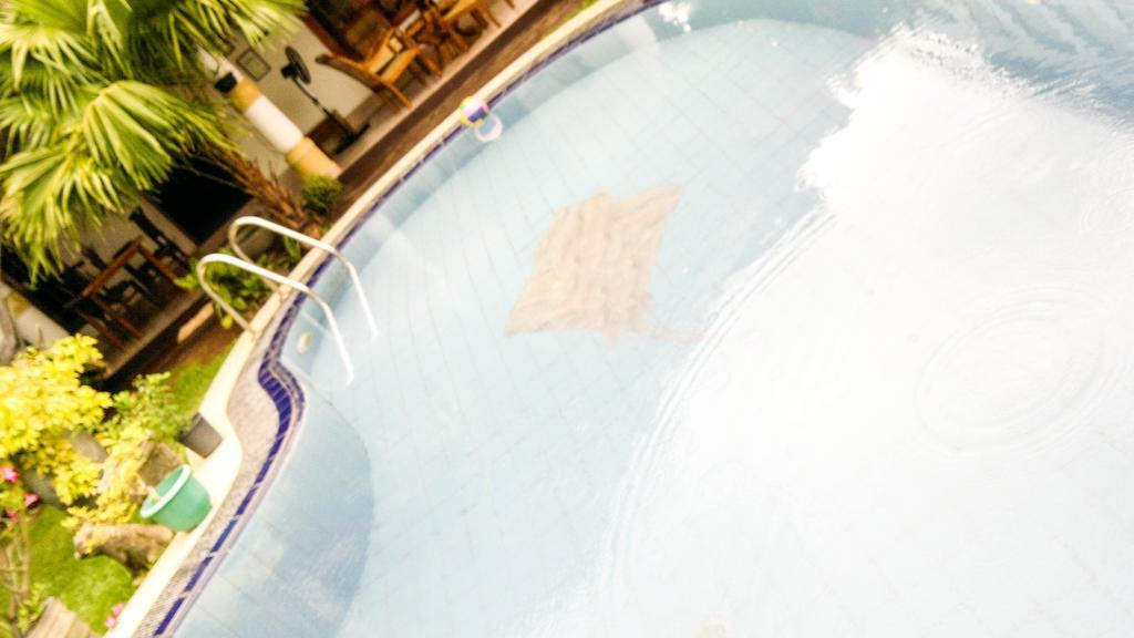 Serendib Guest House เนกอมโบ ภายนอก รูปภาพ