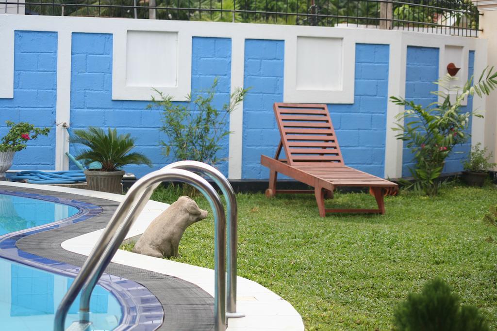 Serendib Guest House เนกอมโบ ภายนอก รูปภาพ